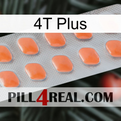 4T Plus 26